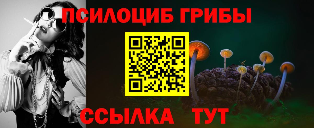 Псилоцибиновые грибы Psilocybe Губкин